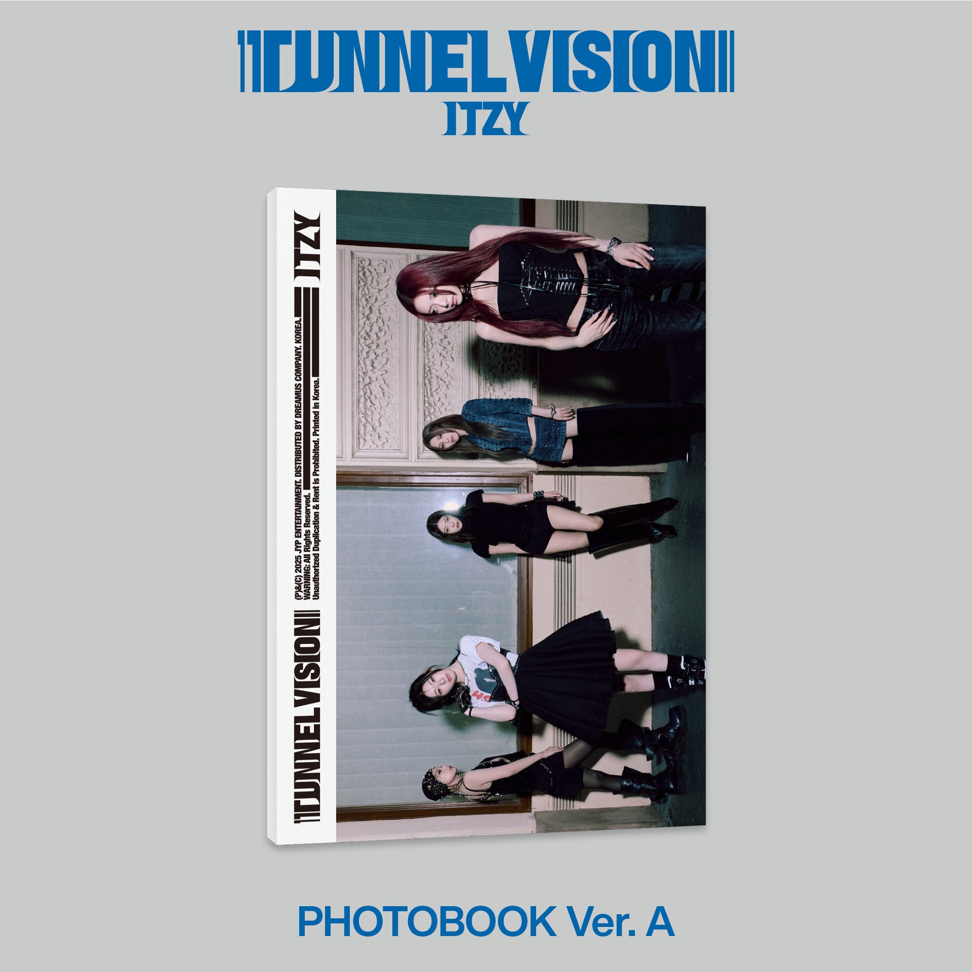 送料込　　　　Vision Non Fiction 5'5\