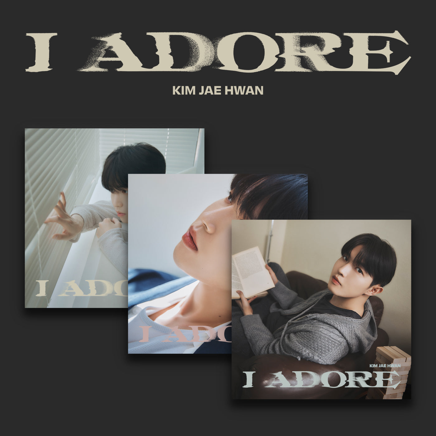 KIM JAE HWAN - I Adore