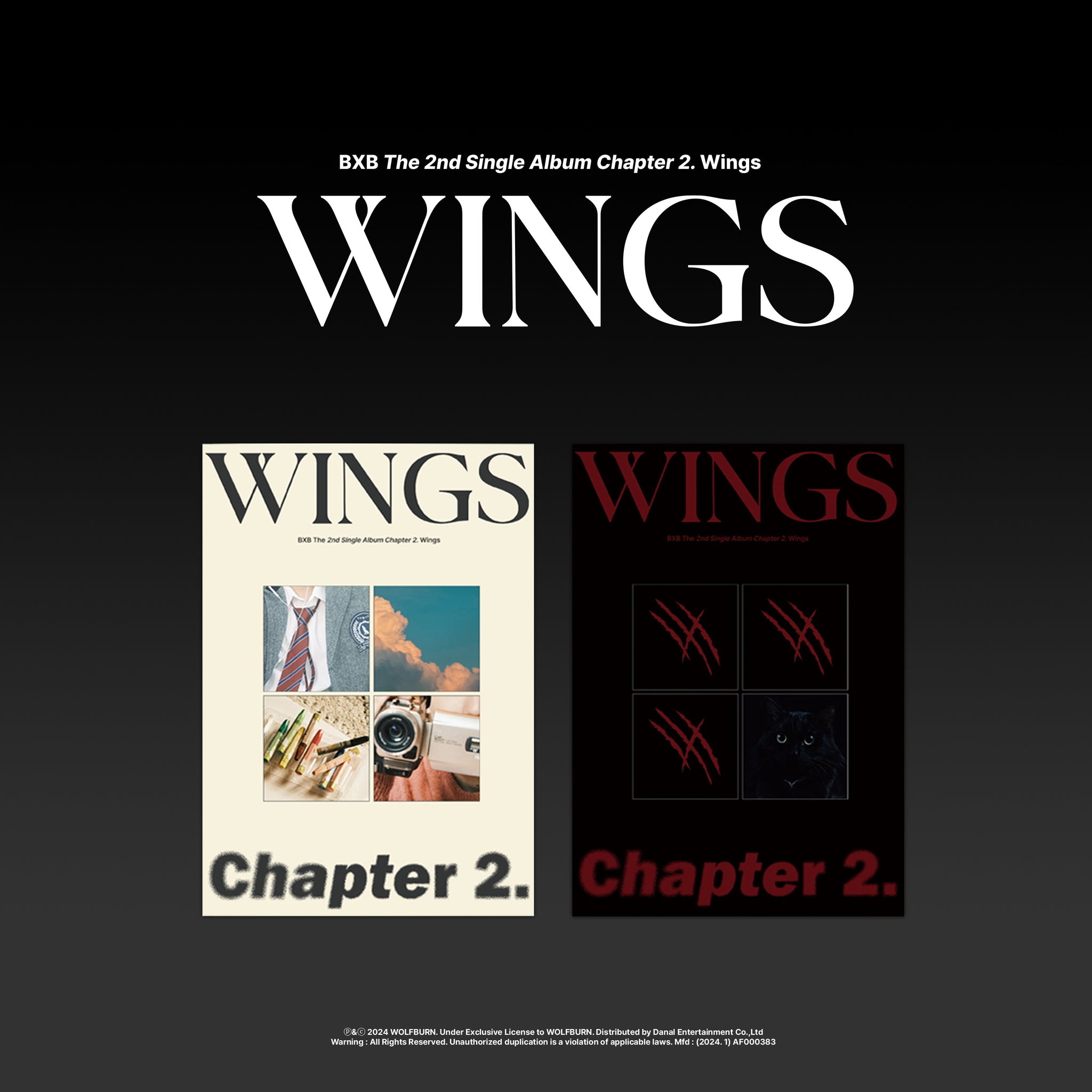 BXB - Chapter 2. Wings