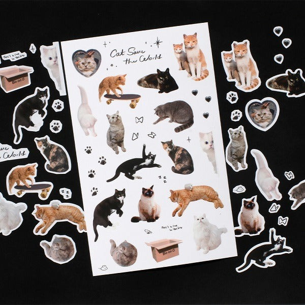 Be On :D Object Cat Sticker